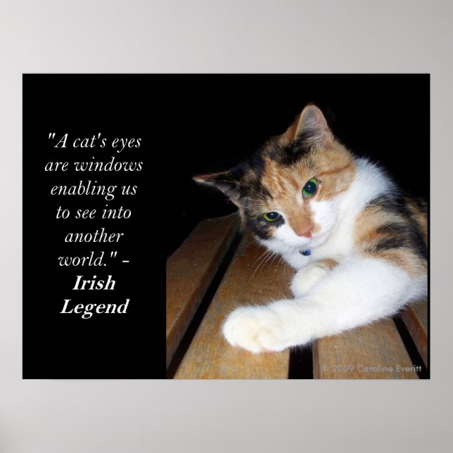 Fönstret Cats Ögon till en annan värld Poster (Framsidan)