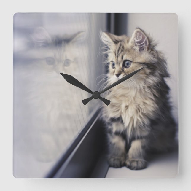 Fönstret Kitten Tittar ut Fyrkantig Klocka (Framsida)