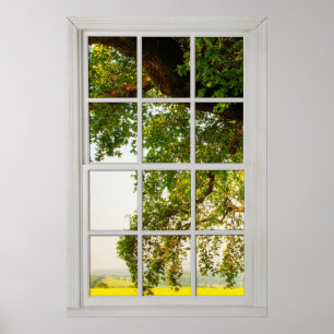 Fönstret Land Oak Träd med en View Illusion Poster
