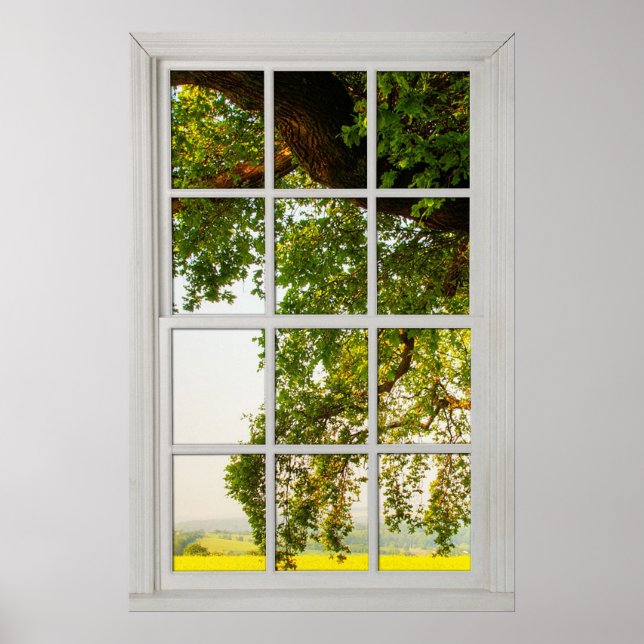 Fönstret Land Oak Träd med en View Illusion Poster (Framsidan)
