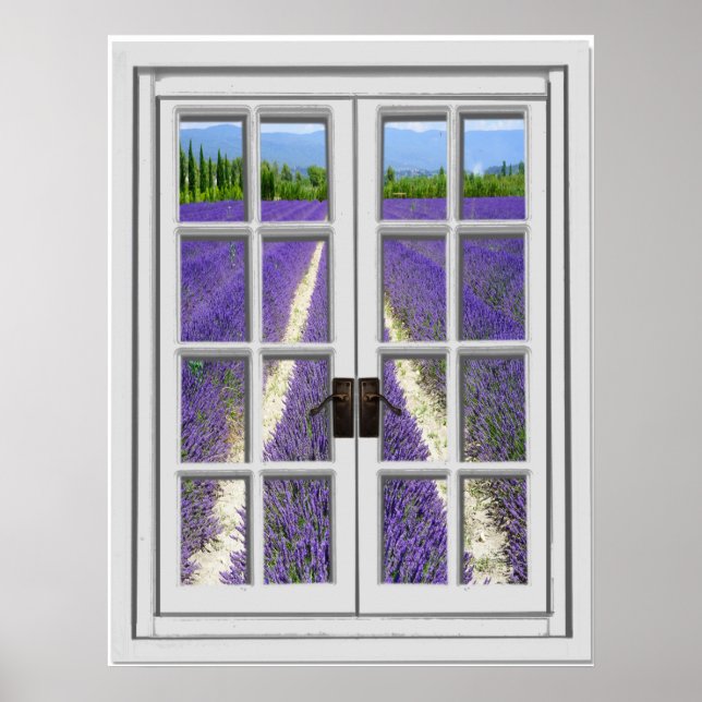 Fönstret Lavender Fält View Fake (Visa kummel) Poster (Framsidan)