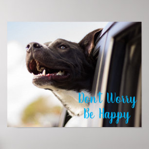 Fönstret poster Hund i Ansikte ut i bilfönstret or