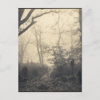 Fontainebleau Forest Vykort