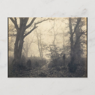 Fontainebleau Forest Vykort