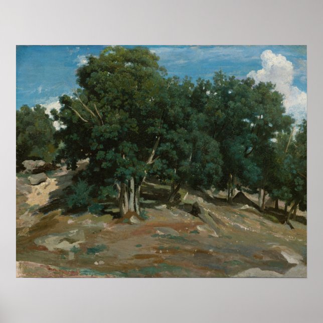 Fontainebleau Oak Träd Poster (Framsidan)