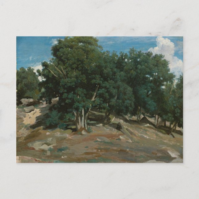 Fontainebleau Oak Träd Vykort (Framsida)