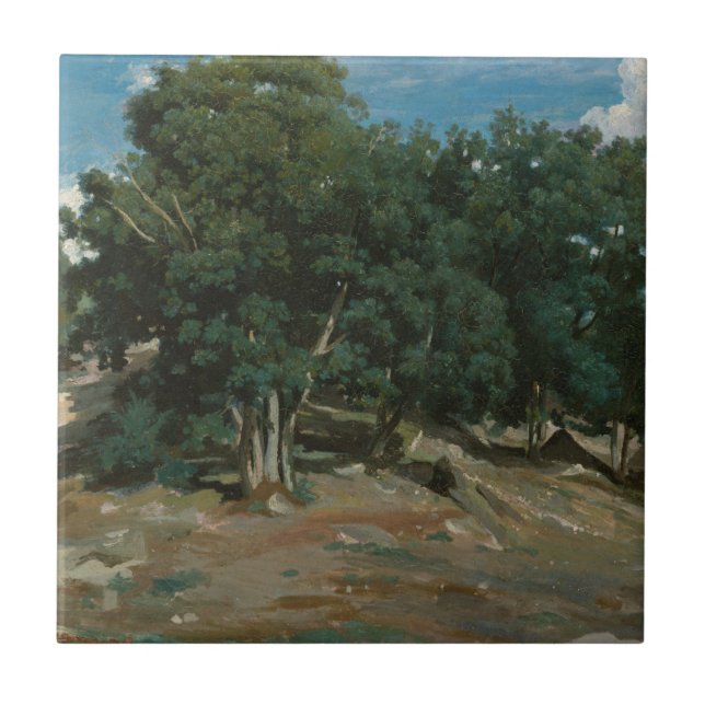 Fontainebleau Oakträd Kakelplatta (Framsidan)