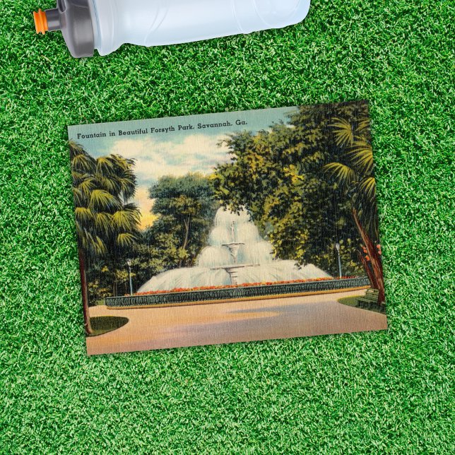Fontän i Forsyth Park Savannah GA Historisk Vykort (Skapare uppladdad)