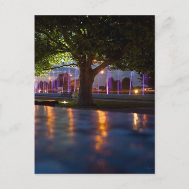 Fontän show - Warszawa på natten Vykort (Framsida)