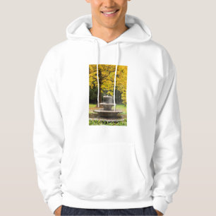 Fontän vid ett träd på hösten, Tyskland Sweatshirt Med Luva
