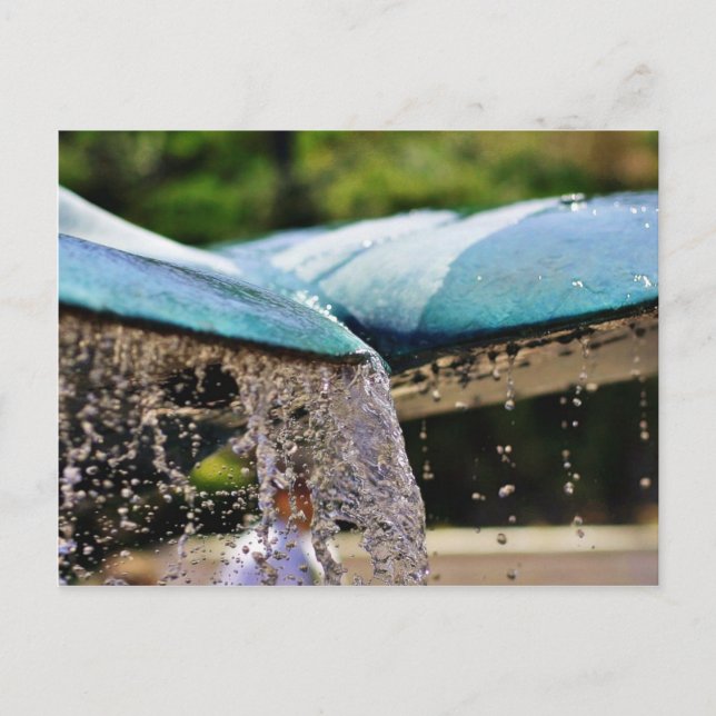 Fontän vid fågelvattendraget i La Jolla Vykort (Framsida)