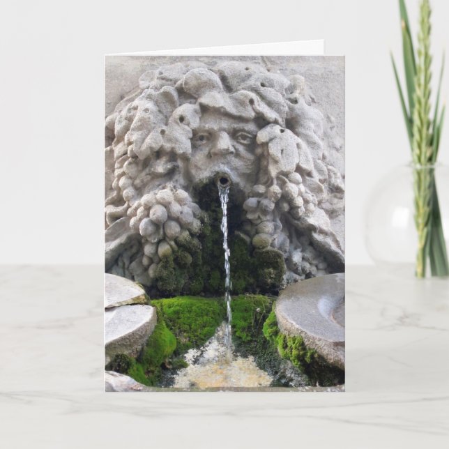 Fontänen av ungdommen kort (Framsida)