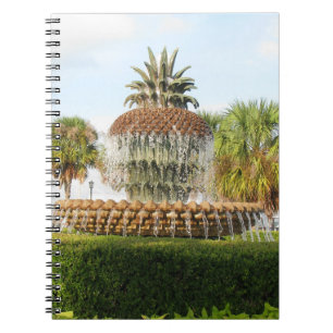 Fontänen för Charleston SC-ananas, strand parker Anteckningsbok