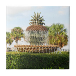 Fontänen för Charleston SC-ananas, strand parker Kakelplatta