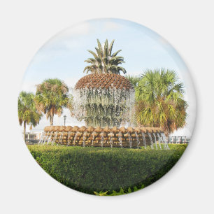 Fontänen för Charleston SC-ananas, strand parker Magnet