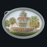 Fontänen för Charleston SC-ananas, strand parkerar<br><div class="desc">Den ökända fontänen för Charleston SC-ananas i strand parkerar.</div>
