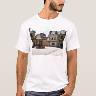 Fontäner i gammal Town T-shirt