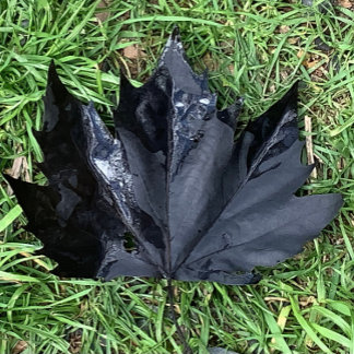 Food and Beverage Label Set . Vinflaska Etikett