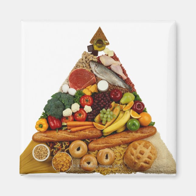 Food Pyramid Magnet (Framsidan)