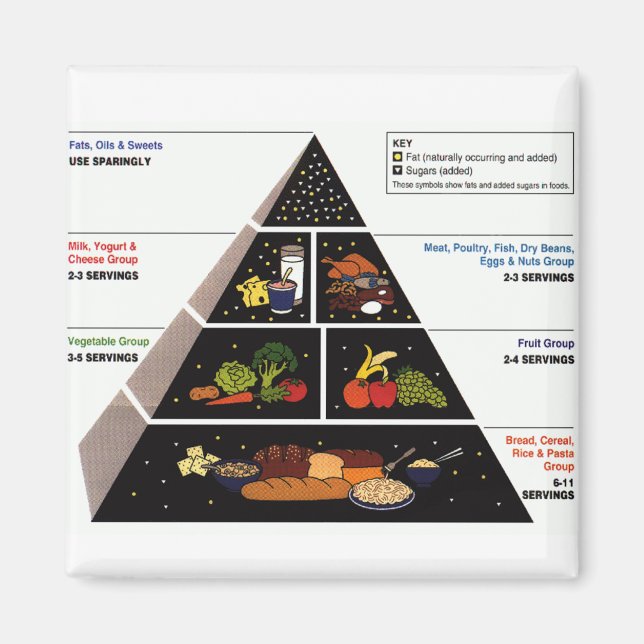 Food Pyramid Magnet (Framsidan)