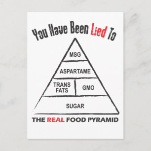 Food Pyramid Vykort