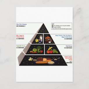 Food Pyramid Vykort