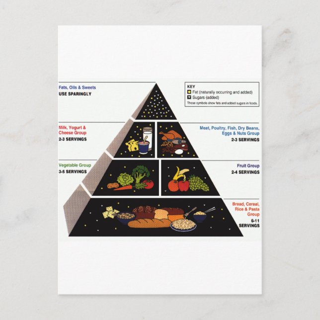 Food Pyramid Vykort (Framsida)