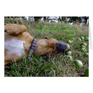 Fooliska sak OBS kort