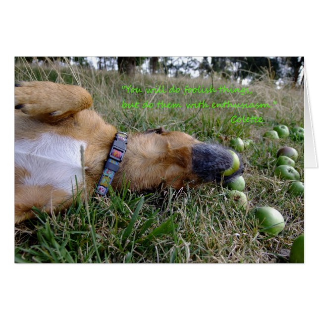 Fooliska sak OBS kort (Framsidan Horizontal)