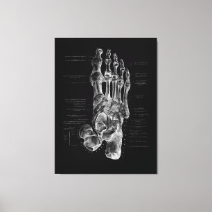 Foot Anatomipodiatrist Medicinsk Poster Canvastryck