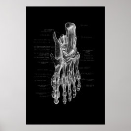 Foot Anatomy Medical Poster 24 x 36 tum
