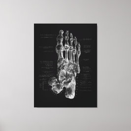 Foot Anatomy Podiatrist Medical Poster Canvastryck