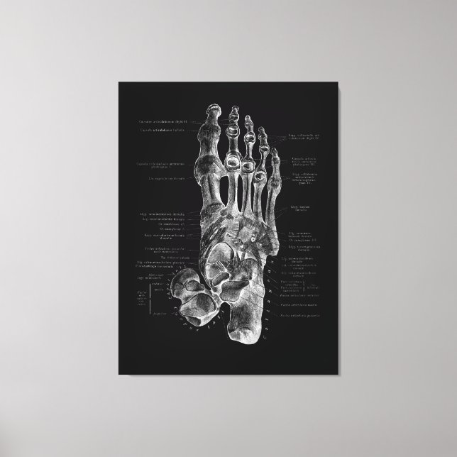 Foot Anatomy Podiatrist Medical Poster Canvastryck (Framsida)