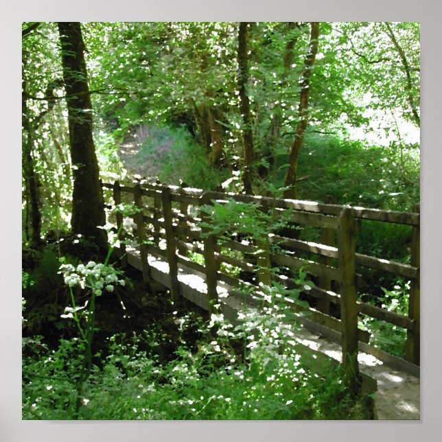 Footbridge i Woodland. Poster (Framsidan)