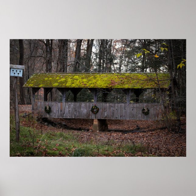 Footbridge in Fall Poster (Framsidan)