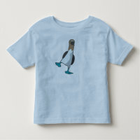 footed booby för blått