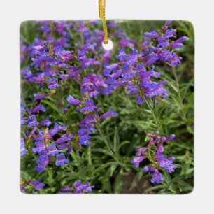 Foothill Penstemon Julgransprydnad Keramik