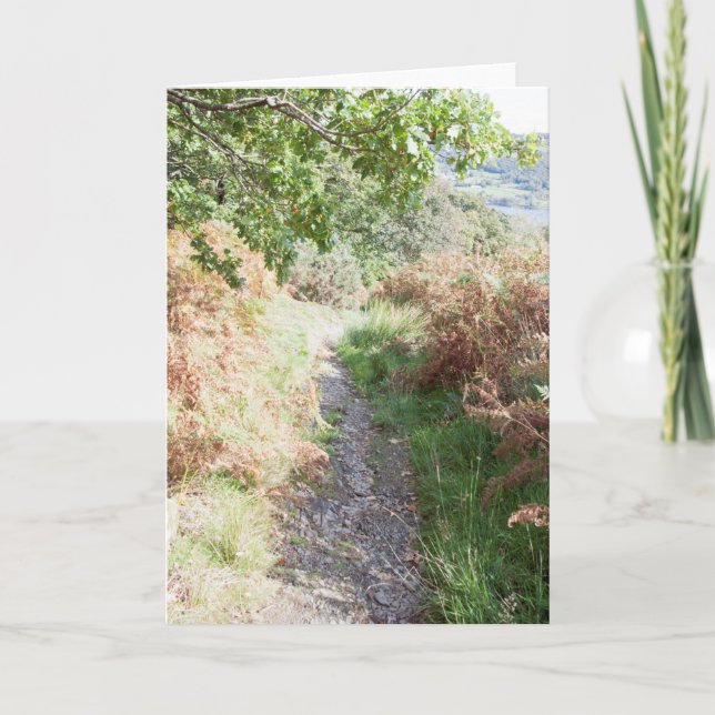 Footpath Coniston England Kort (Framsida)