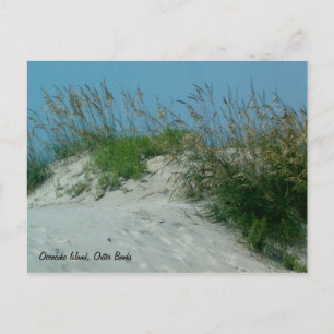 Footprint and Sand Dunes, Okracoke Island, NC Vykort
