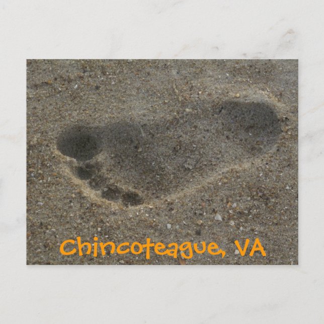 Footprint Chincoteague, VA Vykort (Framsida)