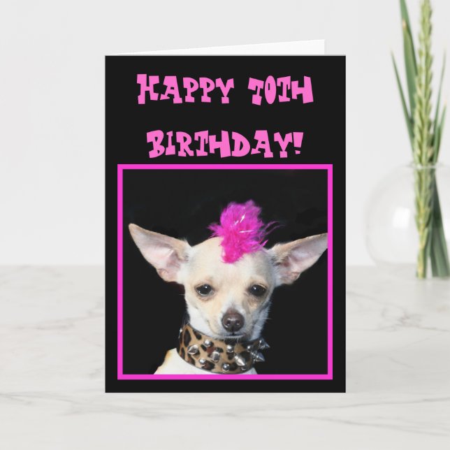 För 70th kort för hälsning födelsedagChihuahua för (Framsida)