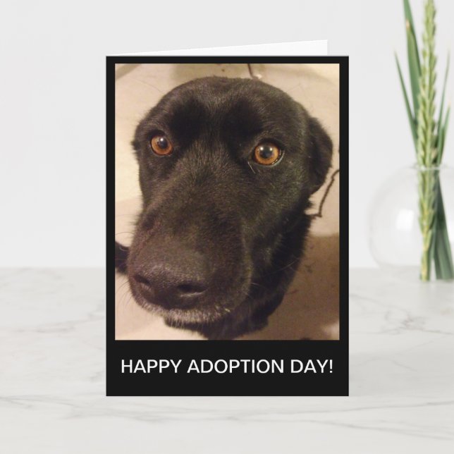 För adoptiondag för ledsen hund lyckligt kort (Framsida)