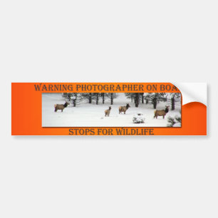 För älgorange för fotograf ombord bildekal
