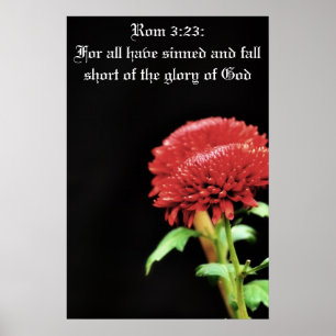 För alla har syndat poster