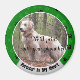 För alltid i mitt hjärt-Hund eller mitt kattminnes Magnet