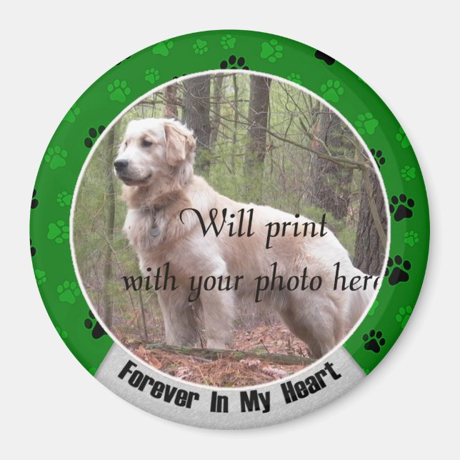 För alltid i mitt hjärt-Hund eller mitt kattminnes Magnet (Framsidan)