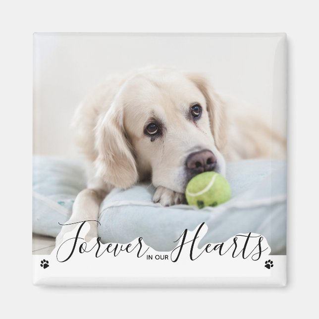 För alltid i vår Hearts Hund Pet Memorial Magnet (Framsidan)