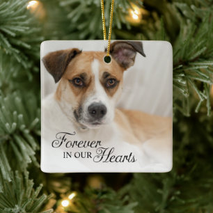 För alltid i vår Hearts Hund Photo Julgransprydnad Keramik