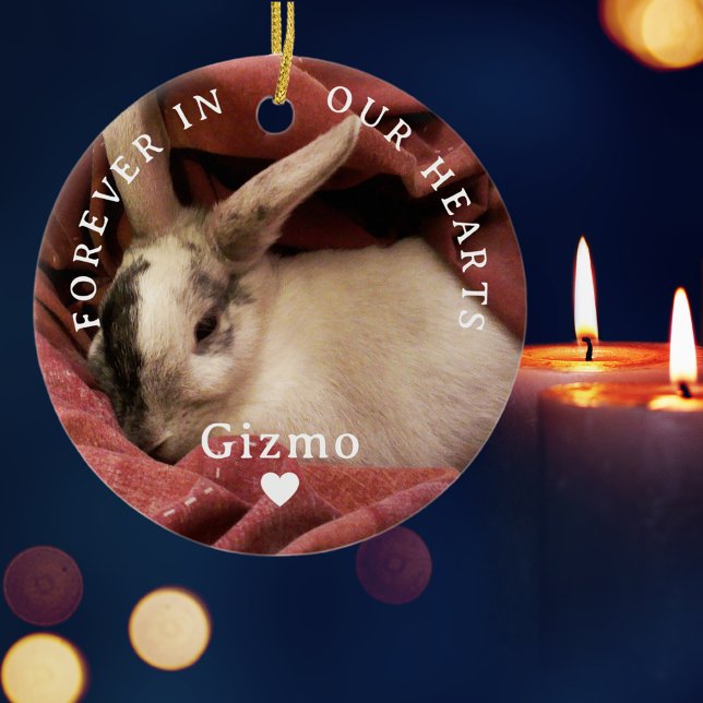 För alltid i vår Hearts-Personlig Pet Memorial Julgransprydnad Keramik (Skapare uppladdad)