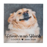 För alltid i vår Hearts Pet Memorial Photo Plaque Kakelplatta<br><div class="desc">För alltid i vår Hearts Pet Memorial Photo Visning Plaque med ett foto av ditt älskade sällskapsdjur och den rustiska men elegant typografin: "För evigt i våra hjärtan". Det finns gott om utrymme för dig att anpassa den. Gör ett underbart minne för hundälskare,  kattälskare eller djurälskare av alla slag.</div>